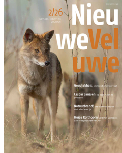 Cover NV 2 2026